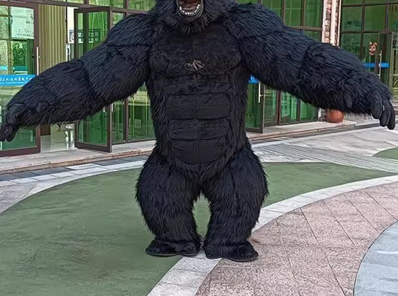 大人のための膨脹可能なゴリラの衣装,完全なマスコット,巨大な - Anime Cosplay Real Life のレビューと価格