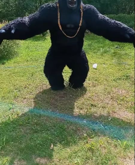 大人のための膨脹可能なゴリラの衣装,完全なマスコット,巨大な - Anime Cosplay Real Life のレビューと価格