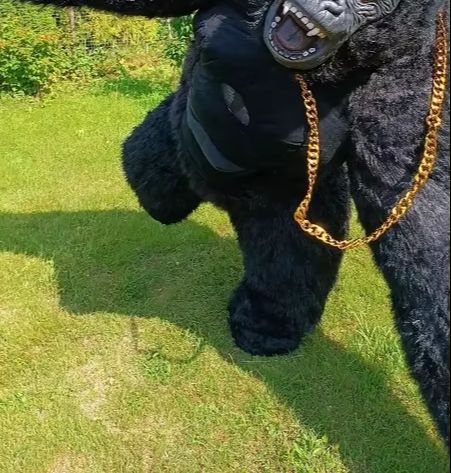 大人のための膨脹可能なゴリラの衣装,完全なマスコット,巨大な - Anime Cosplay Real Life のレビューと価格
