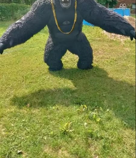 大人のための膨脹可能なゴリラの衣装,完全なマスコット,巨大な - Anime Cosplay Real Life のレビューと価格